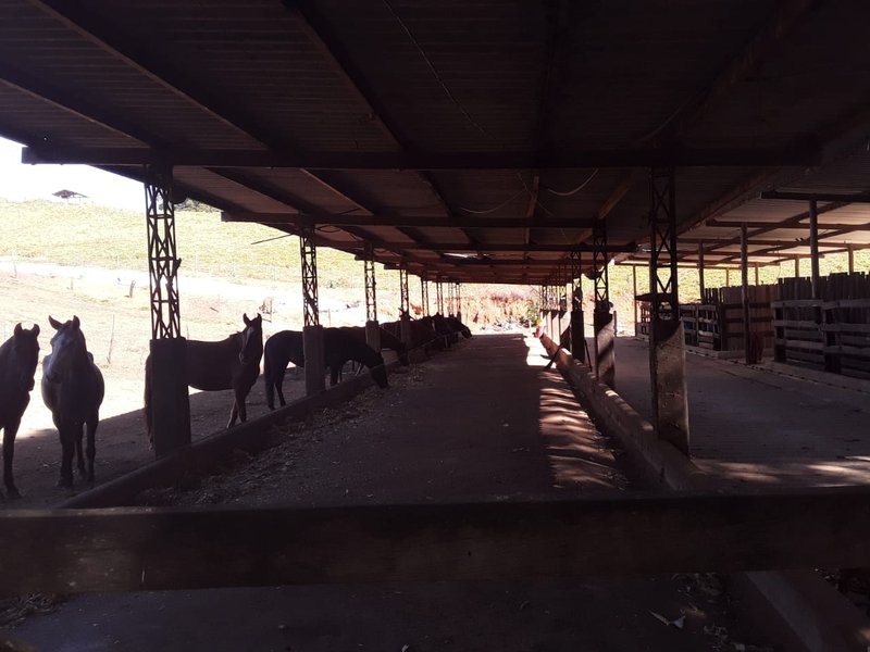 FAZENDA COM 148 HECTARES NA REGIÃO DE CONÇEIÇÃO DO RIO VERDE MG - CONCEICAO DO RIO VERDE - 