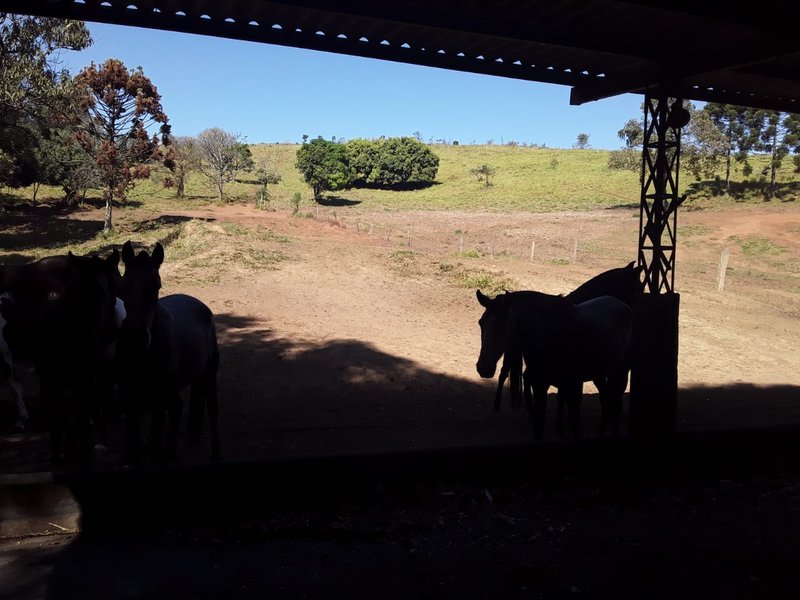 FAZENDA COM 148 HECTARES NA REGIÃO DE CONÇEIÇÃO DO RIO VERDE MG - CONCEICAO DO RIO VERDE - 