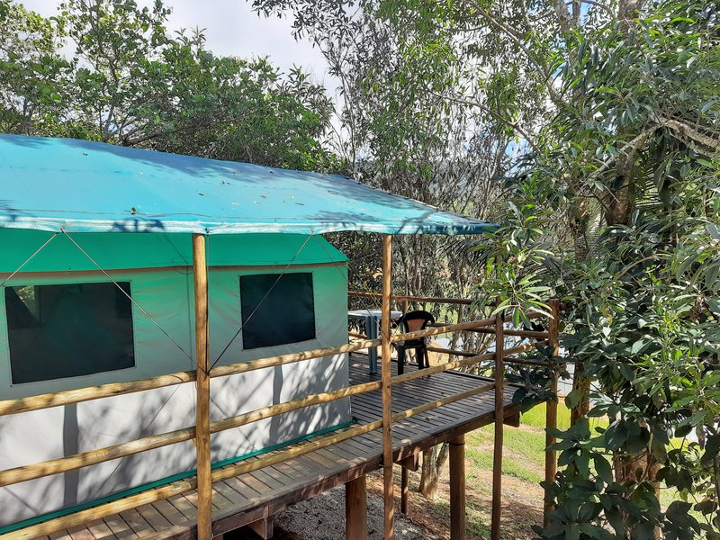 SITIO COM 8.75 ALQUEIRES EM NATIVIDADE DA SERRA SP - NATIVIDADE DA SERRA - 