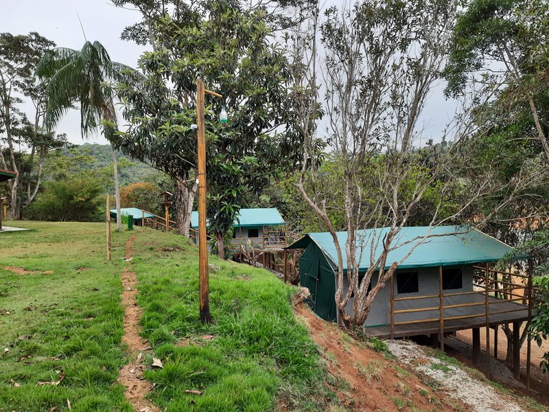 SITIO COM 8.75 ALQUEIRES EM NATIVIDADE DA SERRA SP - NATIVIDADE DA SERRA - 