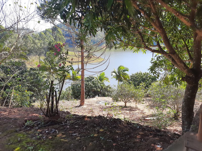 SITIO COM 8.75 ALQUEIRES EM NATIVIDADE DA SERRA SP - NATIVIDADE DA SERRA - 
