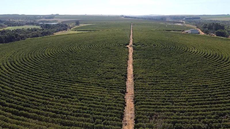 FAZENDA COM 1.000 HECTARES EM NA REGIÃO DE UNAÍ MG - Unaí - 