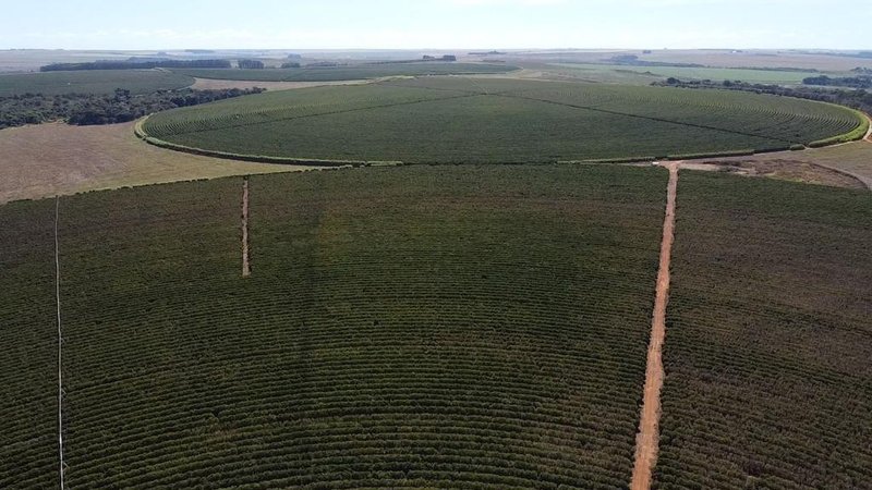 FAZENDA COM 1.000 HECTARES EM NA REGIÃO DE UNAÍ MG - Unaí - 