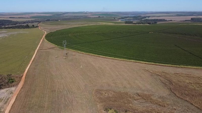 FAZENDA COM 1.000 HECTARES EM NA REGIÃO DE UNAÍ MG - Unaí - 