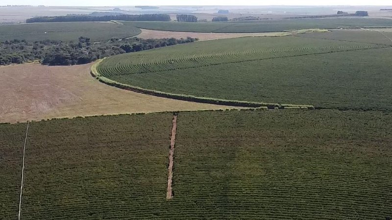 FAZENDA COM 1.000 HECTARES EM NA REGIÃO DE UNAÍ MG - Unaí - 