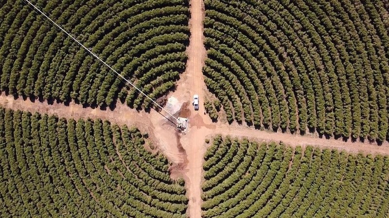 FAZENDA COM 1.000 HECTARES EM NA REGIÃO DE UNAÍ MG - Unaí - 