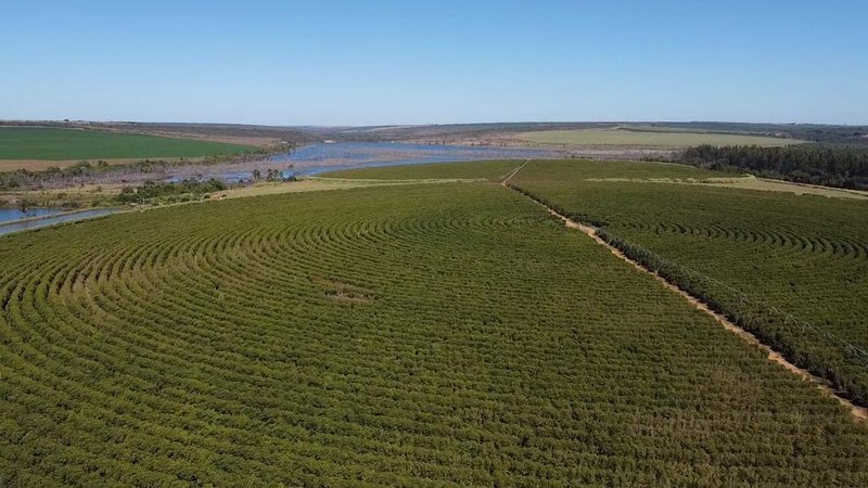 FAZENDA COM 1.000 HECTARES EM NA REGIÃO DE UNAÍ MG - Unaí - 