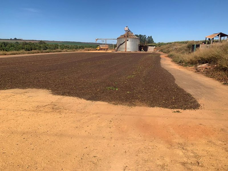 FAZENDA COM 1.000 HECTARES EM NA REGIÃO DE UNAÍ MG - Unaí - 