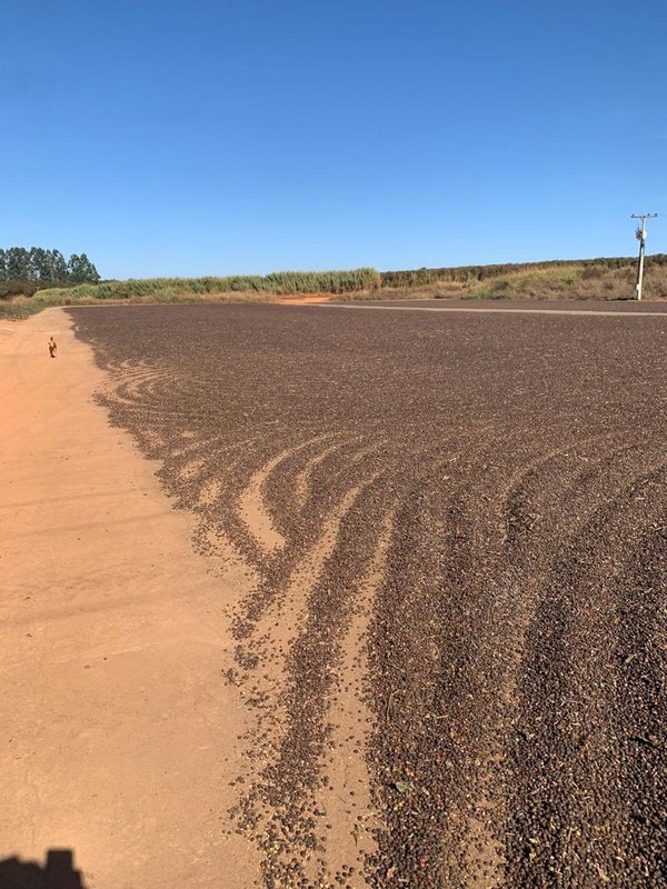 FAZENDA COM 1.000 HECTARES EM NA REGIÃO DE UNAÍ MG - Unaí - 