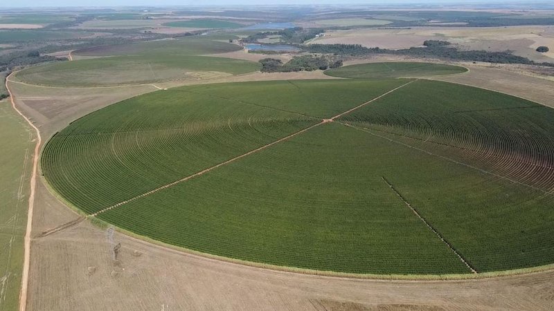 FAZENDA COM 1.000 HECTARES EM NA REGIÃO DE UNAÍ MG - Unaí - 