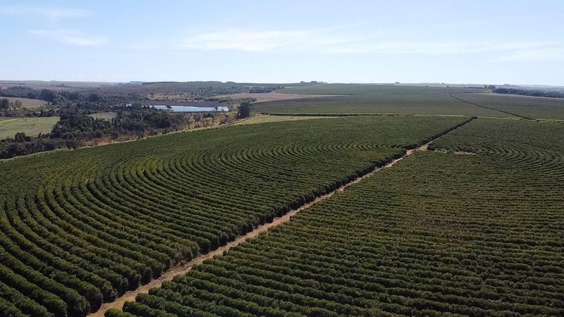 FAZENDA COM 1.000 HECTARES EM NA REGIÃO DE UNAÍ MG - Unaí - 