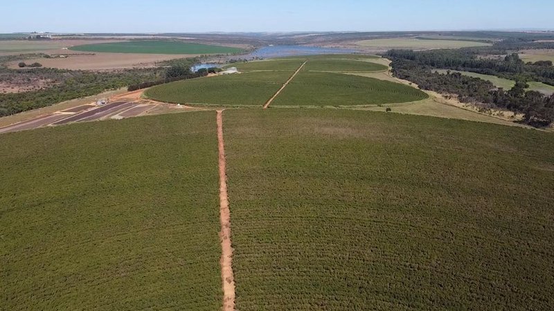 FAZENDA COM 1.000 HECTARES EM NA REGIÃO DE UNAÍ MG - Unaí - 