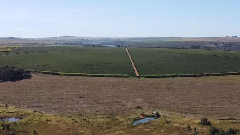 FAZENDA COM 1.000 HECTARES EM NA REGIÃO DE UNAÍ MG - Unaí - 