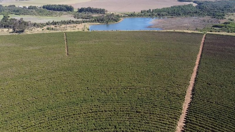 FAZENDA COM 1.000 HECTARES EM NA REGIÃO DE UNAÍ MG - Unaí - 