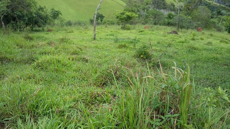 SITIO COM 14 ALQUEIRES EM JAMBEIRO SP - JAMBEIRO - 