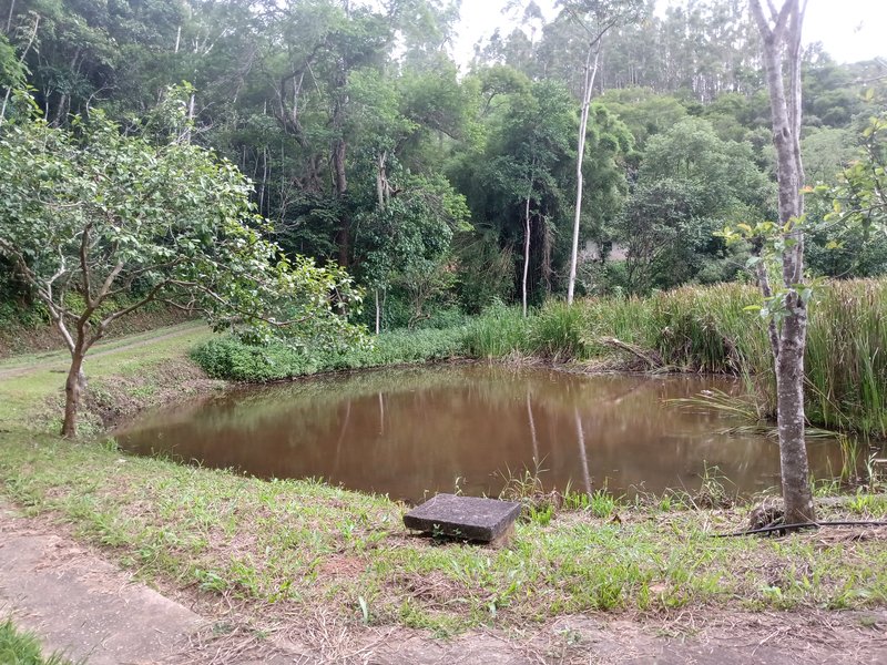 SITIO COM 14 ALQUEIRES EM JAMBEIRO SP - JAMBEIRO - 
