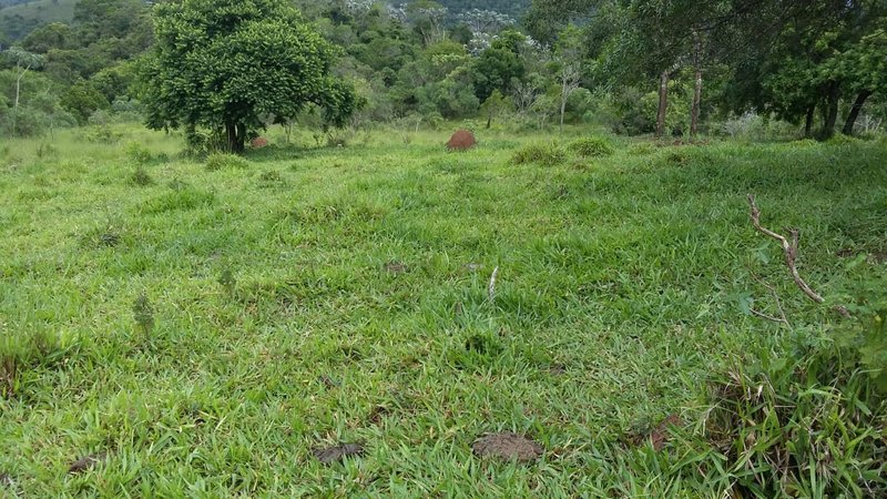 SITIO COM 14 ALQUEIRES EM JAMBEIRO SP - JAMBEIRO - 