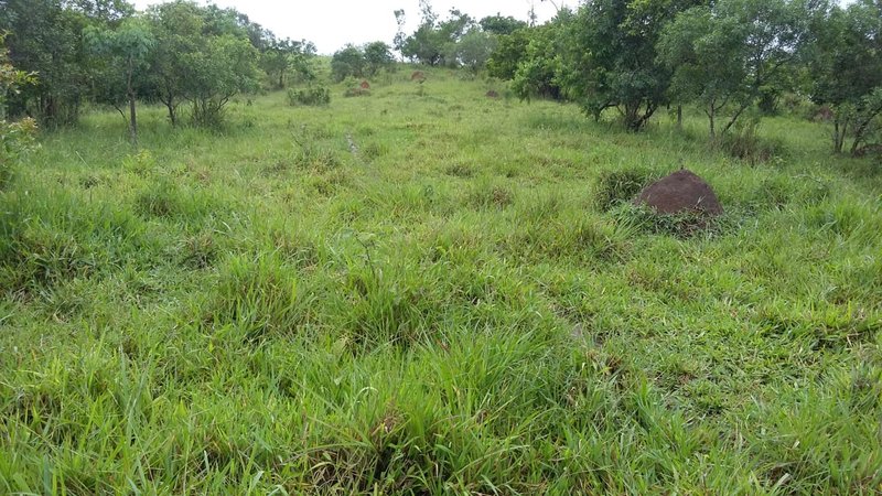 SITIO COM 14 ALQUEIRES EM JAMBEIRO SP - JAMBEIRO - 