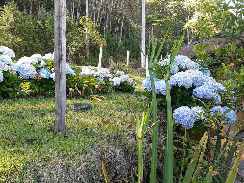 SITIO COM 2.5 ALQUEIRES EM SÃO LUIZ DO PARAITINGA SP - SAO LUIS DO PARAITINGA - 