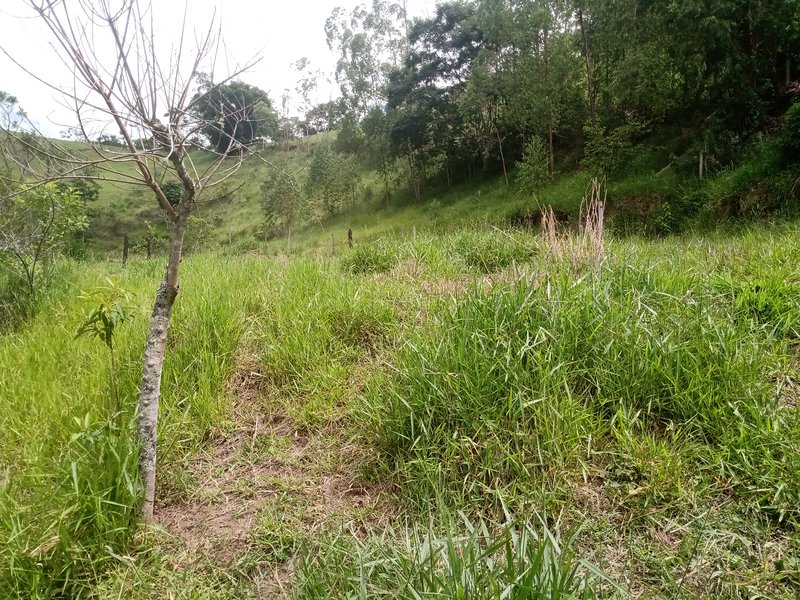 SITIO COM 20.000 EM SÃO JOSE DOS CAMPOS SP - São José dos Campos - 