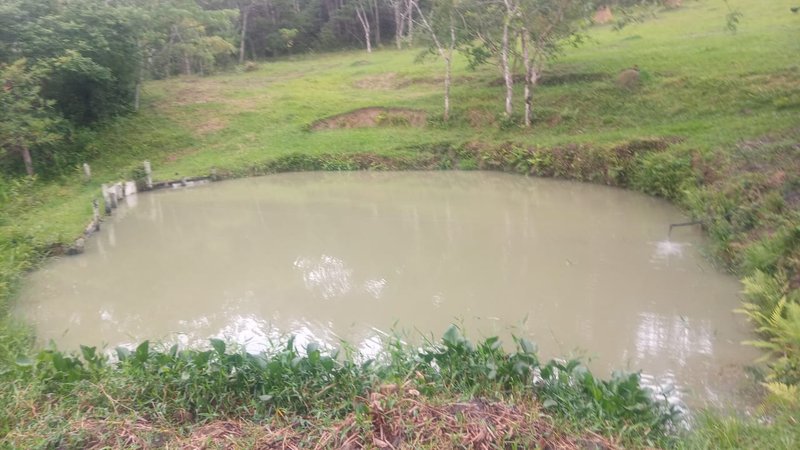 FAZENDA COM 29 ALQUEIRES EM CAÇAPAVA SP - Caçapava - 