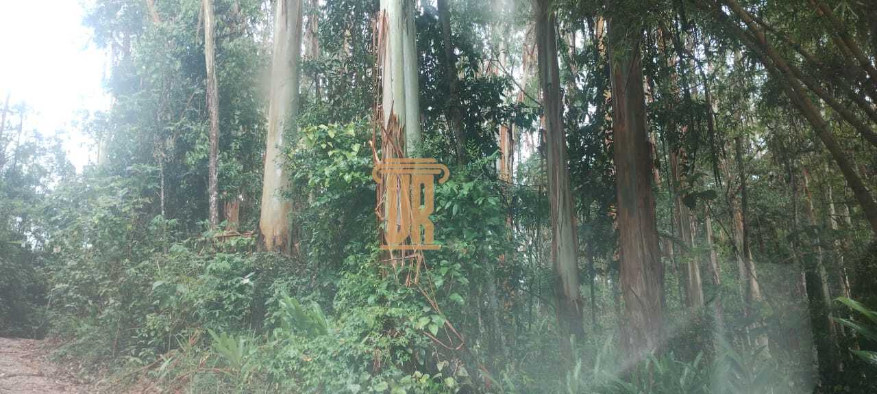 Excelente fazenda com 29 alqueires, em Ca&ccedil;apava- SP  Caçapava - 