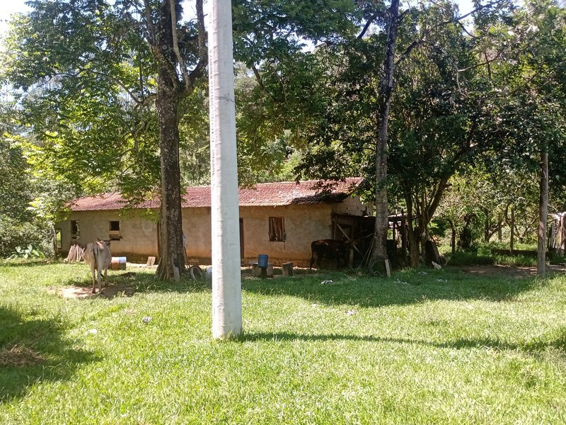 FAZENDA COM 29 ALQUEIRES EM CAÇAPAVA SP - Caçapava - 