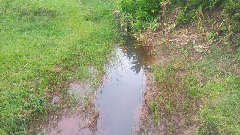 FAZENDA COM 29 ALQUEIRES EM CAÇAPAVA SP - Caçapava - 
