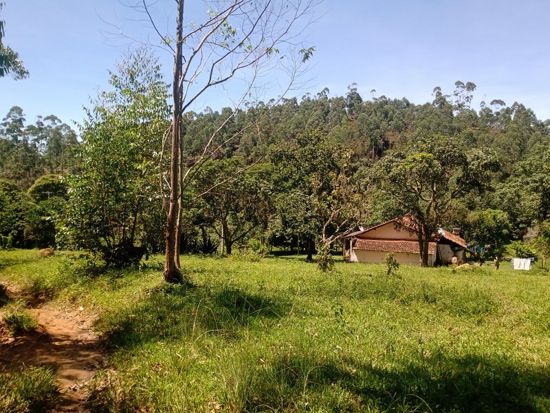 FAZENDA COM 29 ALQUEIRES EM CAÇAPAVA SP - Caçapava - 