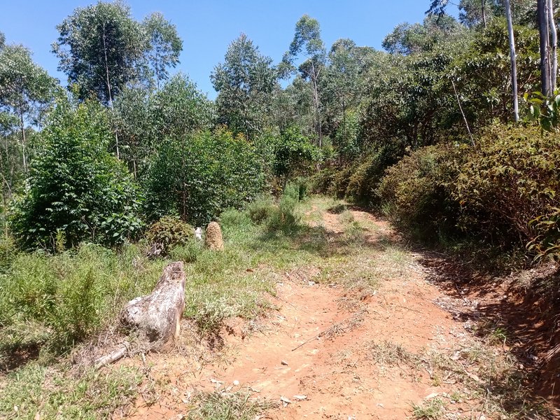 FAZENDA COM 29 ALQUEIRES EM CAÇAPAVA SP - Caçapava - 