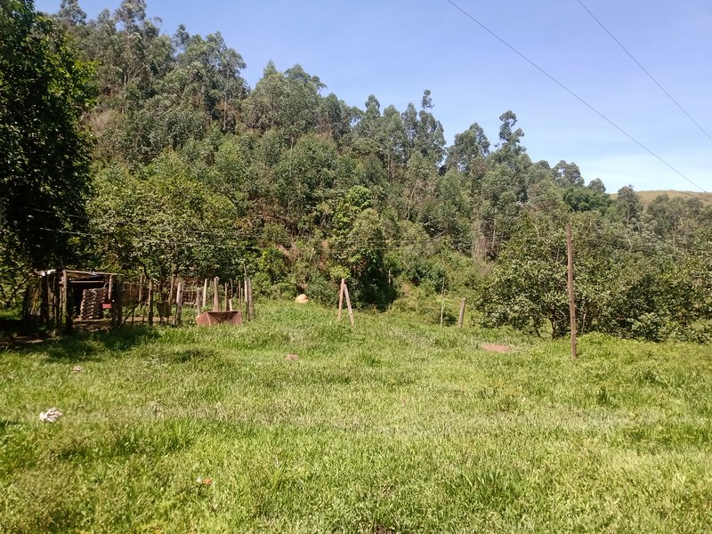 FAZENDA COM 29 ALQUEIRES EM CAÇAPAVA SP - Caçapava - 