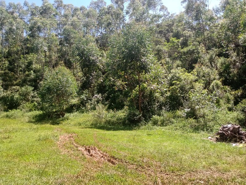 FAZENDA COM 29 ALQUEIRES EM CAÇAPAVA SP - Caçapava - 