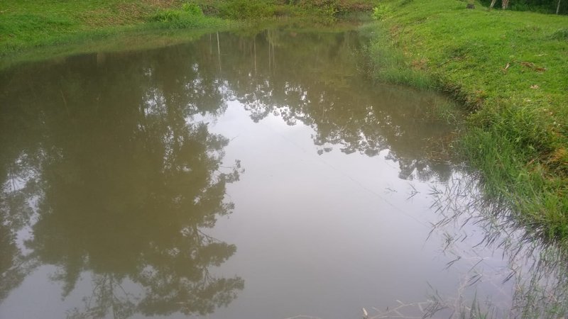 FAZENDA COM 29 ALQUEIRES EM CAÇAPAVA SP - Caçapava - 