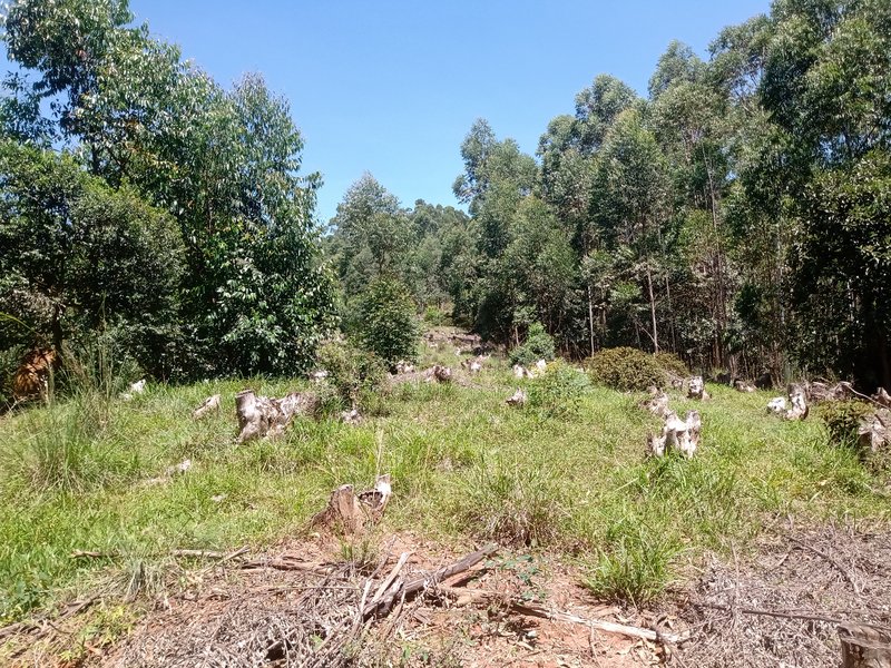 FAZENDA COM 29 ALQUEIRES EM CAÇAPAVA SP - Caçapava - 