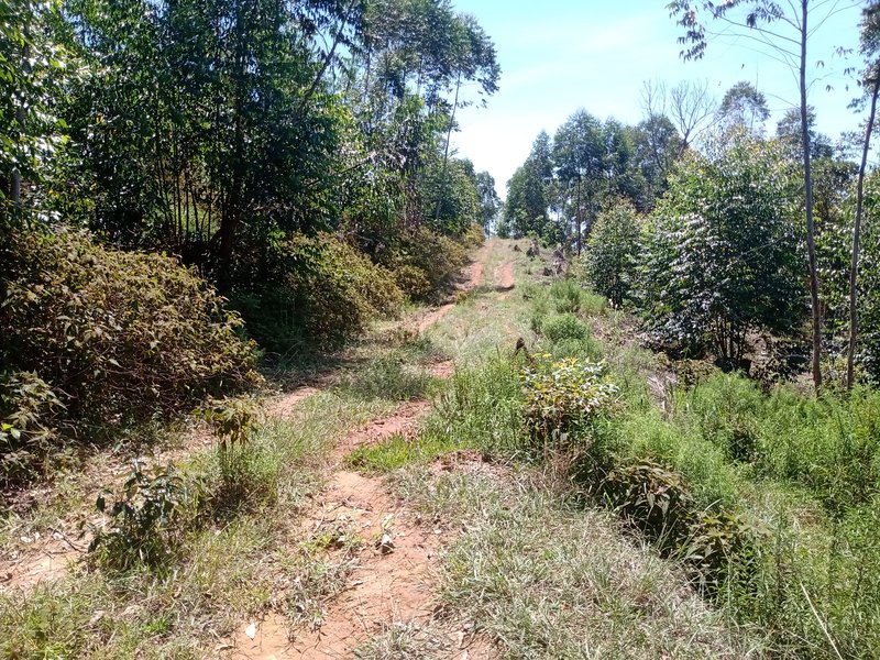 FAZENDA COM 29 ALQUEIRES EM CAÇAPAVA SP - Caçapava - 