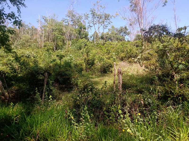 FAZENDA COM 29 ALQUEIRES EM CAÇAPAVA SP - Caçapava - 