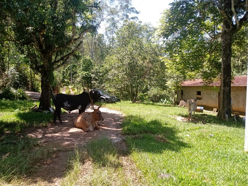 FAZENDA COM 29 ALQUEIRES EM CAÇAPAVA SP - Caçapava - 