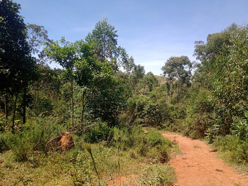 FAZENDA COM 29 ALQUEIRES EM CAÇAPAVA SP - Caçapava - 