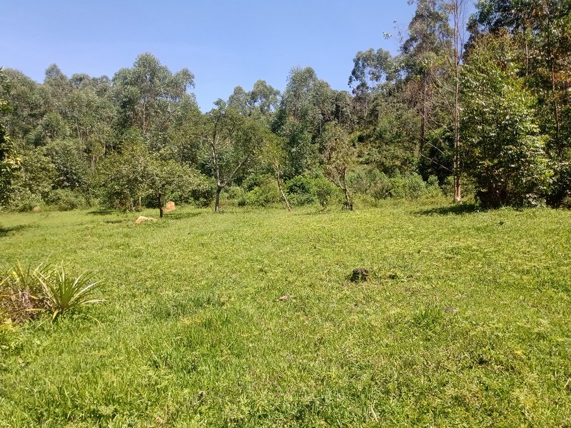 FAZENDA COM 29 ALQUEIRES EM CAÇAPAVA SP - Caçapava - 