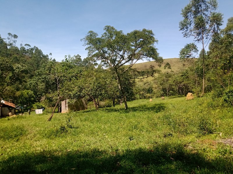 FAZENDA COM 29 ALQUEIRES EM CAÇAPAVA SP - Caçapava - 