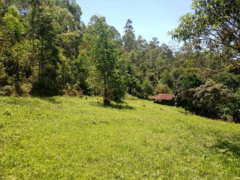 FAZENDA COM 29 ALQUEIRES EM CAÇAPAVA SP - Caçapava - 