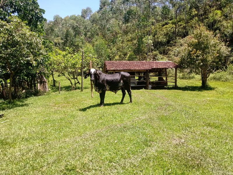 FAZENDA COM 29 ALQUEIRES EM CAÇAPAVA SP - Caçapava - 