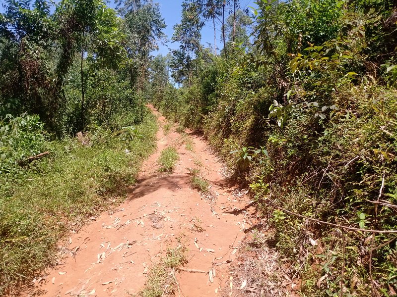 FAZENDA COM 29 ALQUEIRES EM CAÇAPAVA SP - Caçapava - 