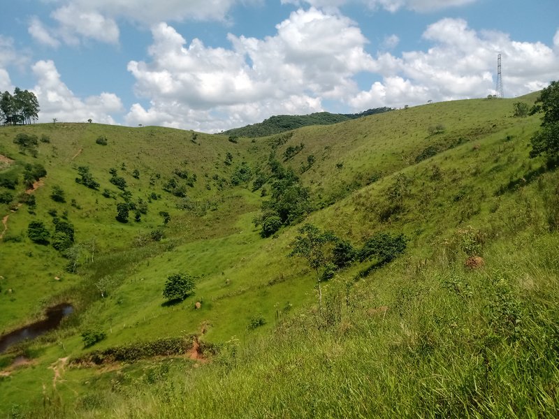 AREA RURAL COM 3.5 ALQUEIRES EM SÃO JOSE DOS CAMPOS SP - São José dos Campos - 