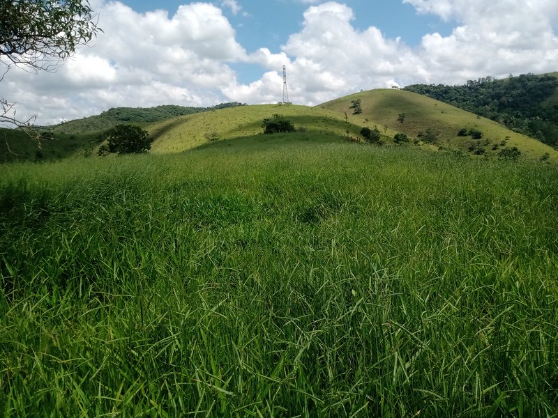 AREA RURAL COM 3.5 ALQUEIRES EM SÃO JOSE DOS CAMPOS SP - São José dos Campos - 