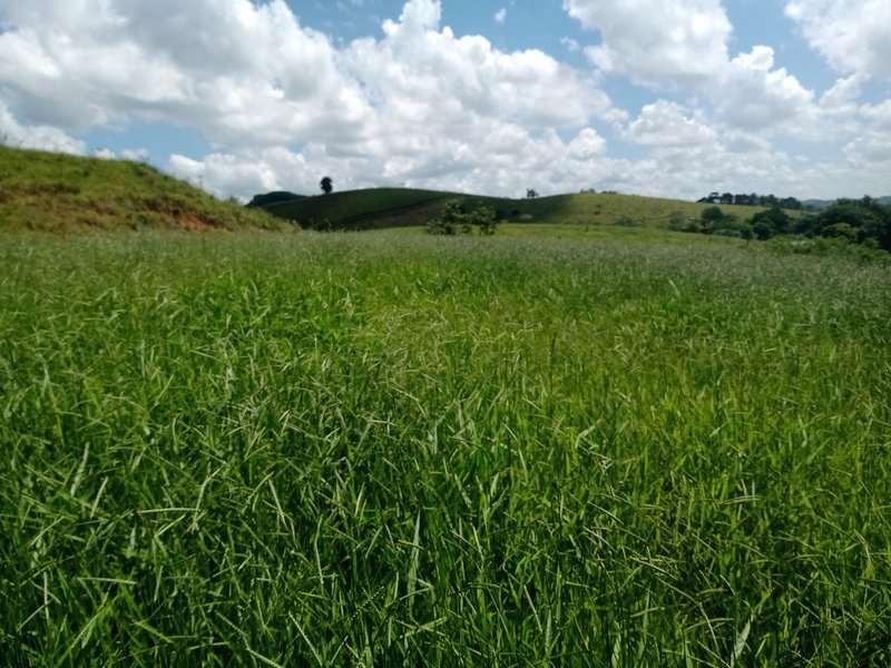 AREA RURAL COM 3.5 ALQUEIRES EM SÃO JOSE DOS CAMPOS SP - São José dos Campos - 