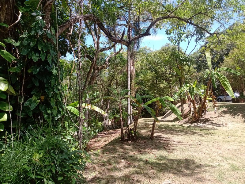 CHACARA COM 5.800 METROS EM SÃO JOSÉ DOS CAMPOS SP - São José dos Campos - 