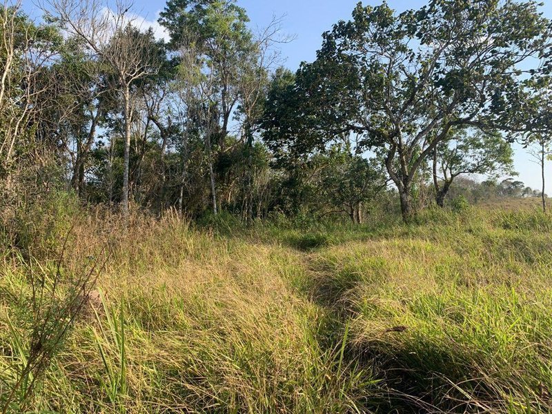 SITIO COM 3 ALQUEIRES EM SÃO FRANCISCO XAVIER SP - SAO FRANCISCO - 