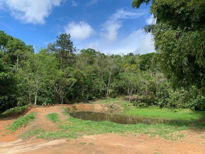 SITIO COM 3 ALQUEIRES EM SÃO FRANCISCO XAVIER SP - SAO FRANCISCO - 