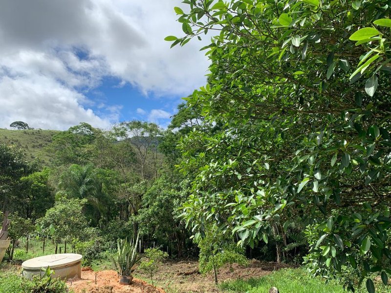 SITIO COM 3 ALQUEIRES EM SÃO FRANCISCO XAVIER SP - SAO FRANCISCO - 